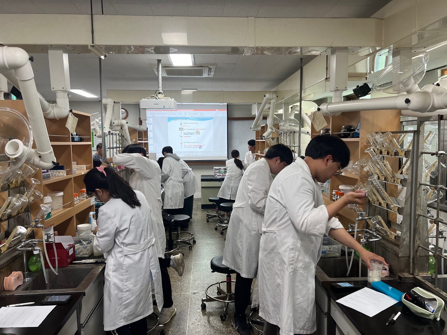 [생명화공] 2024년 Bioassay 경진대회 대표이미지