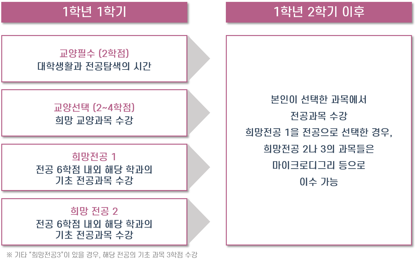 자유전공학과 학습로드맵